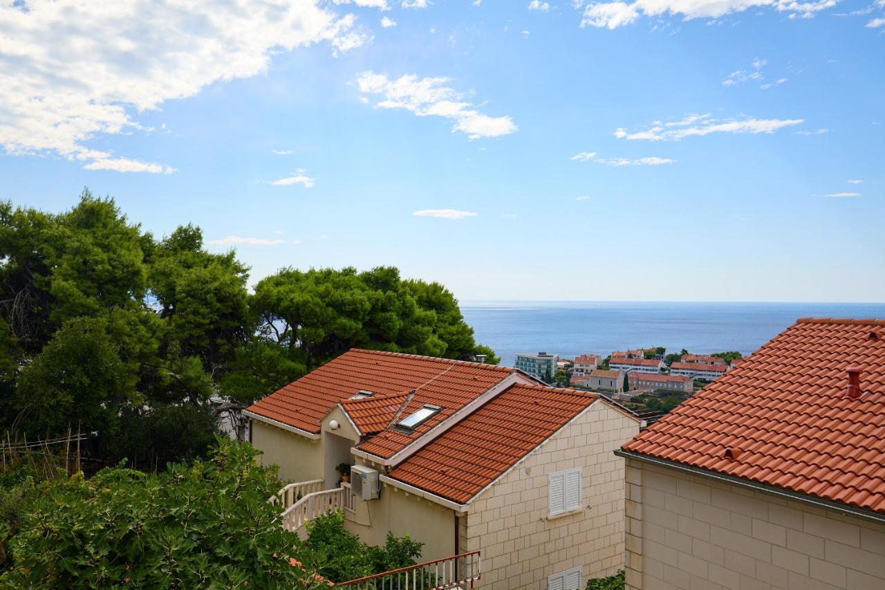 Hedera Estate Hedera 1 Dubrovnik
